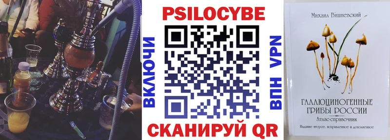 где можно купить наркотик  mega ТОР  Псилоцибиновые грибы Psilocybe  Карабаново 